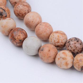 Natural Picture Jasper Beads Strands, Round, 4~4.5mm, Hole: 0.8mm, about 96pcs/strand, 15.5 inch