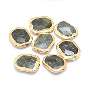 Natural Labradorite Beads, Edge Gold Plated, Faceted, Oval, 22~25x25~30x6~9mm, Hole: 0.8~1mm(G-P380-07G)