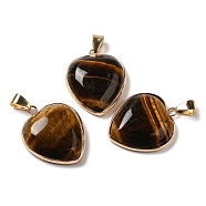 Natural Tiger Eye Pendants, Heart Charms, with Golden Tone Iron and Brass Findings, 29x24~24.5x6~6.5mm, Hole: 7~7.3x3.8~4.3mm(G-K335-04G-14)