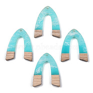 Transparent Resin & White Wood Pendants, Two Tone, V Shape Charms, Cyan, 38x29x3mm, Hole: 2mm(RESI-TAC0017-38)