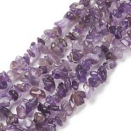 Natural Amethyst Beads Strands, Chips, 2~6x5~12mm, Hole: 0.5mm, 34 inch(F014-1)