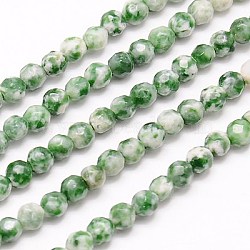 Natural Green Spot Jasper Beads Strands, Faceted, Round, Green, 4mm, Hole: 1mm, about 90pcs/strand, 15.35 inch(G-G545-35)