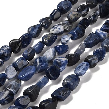 Natural Sodalite Beads Strands, Nuggets, Tumbled Stone, 7~13x4.5~10x4.5~10mm, Hole: 1.2mm, about 44~46pcs/strand, 15.08''~16.14''(38.3~41cm)