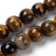 Natural Tiger Eye Round Bead Strands, 14mm, Hole: 1.2mm, about 28pcs/strand, 15.3 inch(G-R200-14mm)