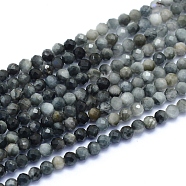 Natural Hawk's Eye Beads Strands, Eagle Eye Stone, Faceted, Round, 3mm, Hole: 0.6mm, about 128pcs/strand, 15.16 inch(38.5cm)(G-I279-E14-02)