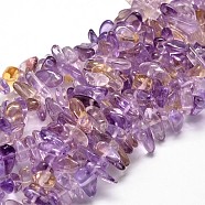 Natural Ametrine Chip Beads Strands, 8~30x5~12mm, Hole: 1mm, about 15.3 inch~15.7 inch(G-E271-43)