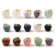 Natural & Synthetic Mixed Gemstone Teacher Apple Charms, with Golden Plated Brass Snap on Bails, Mixed Dyed and Undyed, 14.5x14mm, Hole: 6.5x4mm(G-Z022-02)