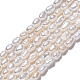 Natural Cultured Freshwater Pearl Beads Strands(PEAR-N012-02I)-2