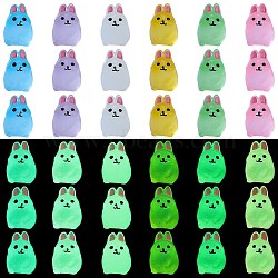 36Pcs 6 Colors Rabbit Luminous Resin Display Decorations, Glow in the Dark, for Car or Home Office Desktop Ornaments, Mixed Color, 17.5x16x21.5mm, 6pcs/color(DJEW-SZ0001-09)