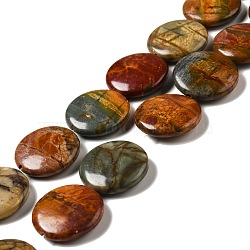 Natural Picasso Stone/Picasso Jasper Beads Strands, Flat Round, 25x7mm, Hole: 1.5mm, about 16pcs/strand, 15.75''(40cm)(G-B032-C01)