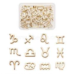 Alloy Charms, 12 Constellations, Light Gold, 11x12.5mm, 12pcs/set, 2 sets(FIND-FW0001-02)