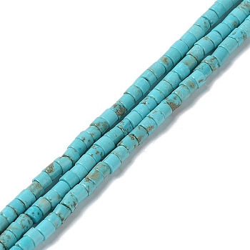 Natural Howlite Beads Strands, Dyed, Flat Round/Disc, Heishi Beads, 3x2~2.5mm, Hole: 0.6mm, about 144~145pcs/strand, 14.80''(37.6cm)