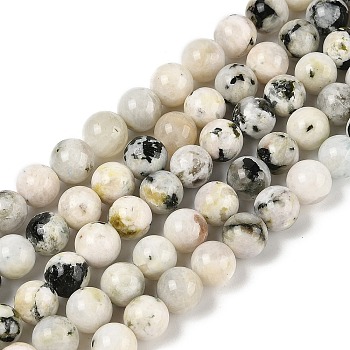 Natural Rainbow Moonstone Beads Strands, Round, 10mm, Hole: 0.8mm, about 40pcs/strand, 15.28~15.35''(38.8~39cm)