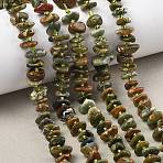 Natural Rhyolite Jasper Beads Strands, Chip, with Seed Beads, 6~15x7~10x2~6mm, Hole: 1mm, about 70~79pcs/strand, 15.75~16.42''(40~41.7cm)(G-F821-B01-01)