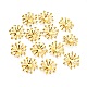 Coupelles en fer (IFIN-D001-G)-1