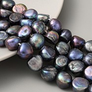 Dyed Natural Cultured Freshwater Pearl Beads Strands, Two Sides Polished, Grade 3A+, Black, 11~12mm, Hole: 0.5mm, about 17pcs/strand, 7.09 inch(18cm)(PEAR-A006-13C)