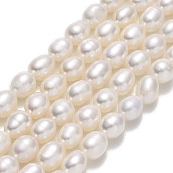 Natural Cultured Freshwater Pearl Beads Strands, Rice, Linen, 6~6.5x5~5.5mm, Hole: 0.7mm, about 50~53pcs/strand, 13.78''(35cm)(PEAR-J006-17D)