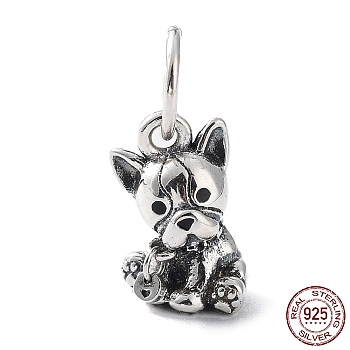 925 Sterling Silver Charms, 3D Dog Charm, French Bulldog Charm, with Jump Ring, Antique Silver, 14x9x8mm, Hole: 6mm