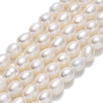 Natural Cultured Freshwater Pearl Beads Strands, Rice, Linen, 6~6.5x5~5.5mm, Hole: 0.7mm, about 50~53pcs/strand, 13.78''(35cm)