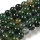 Naturelles mousse rondes en agate perles brins(G-S151-6mm)-1