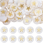 40Pcs Natural Freshwater Shell Pendants, Flat Round Charms with Metal Shell Slices, Golden, Seashell Color, 16x3.5~4mm, Hole: 1.2mm(SHEL-SC0002-04)