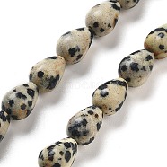 Natural Dalmatian Jasper Beads Strands, Teardrop, 9x6mm, Hole: 1.2mm, about 44pcs/strand, 15.75''(40cm)(G-B106-A29-01)