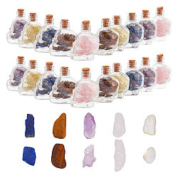 10Pcs Mixed Gemstones Chips in Skull Glass Bottle Display Decorations, for Witchcraft, 37x27x46.5mm(DJEW-AR0001-08)