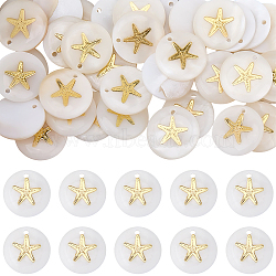 40Pcs Natural Freshwater Shell Pendants, Flat Round Charms with Metal Shell Slices, Golden, Seashell Color, 16x3.5~4mm, Hole: 1.2mm(SHEL-SC0002-04)
