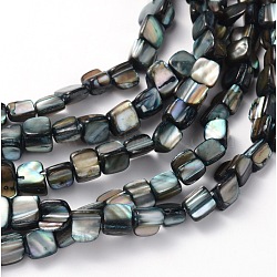 Erose Shell Beads Strands, Dyed, Gray, about 8~17.5mm long, 5~8mm wide, about 40pcs/strand, hole: about 1mm, 16 inch(PBB070Y)