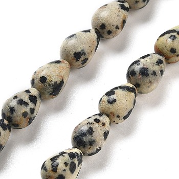 Natural Dalmatian Jasper Beads Strands, Teardrop, 9x6mm, Hole: 1.2mm, about 44pcs/strand, 15.75''(40cm)