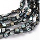 Erose Shell Beads Strands(PBB070Y)-1