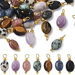 35Pcs 7 Style Natural Mixed Stone Pendants, with 304 Stainless Steel Findings, Oval, Golden, 15mm, Hole: 2mm, 5pcs/style(PALLOY-YW00142)