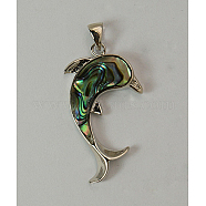 Abalone Shell/Paua Shell Pendants, Single Side, with Brass Findings, Dolphin, Platinum, Colorful, Size: about 22mm wide, 38.5mm long, 5mm thick, hole: 3x4mm(SSHEL-N001-136)