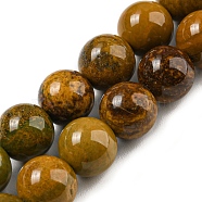Natural Ocean Jasper Beads Strands, Round, 8mm, Hole: 0.9mm, about 46~49pcs/strand, 15.16''~15.75''(38.5~40cm)(G-P503-8MM-07)
