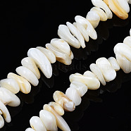 Natural Trochid Shell/Trochus Shell Beads Strands, Undyed, Chips, 7~22x5~8x1~6.5mm, Hole: 1mm, about 96~111pcs/strand, 14.37 inch~15.75 inch(36.5cm~40cm)(X-SHEL-S258-080-A01)