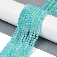 Natural Amazonite Beads Strands, Round, Faceted, 4mm, Hole: 0.6mm, about 100pcs/strand, 15.43''(39.2cm)(G-I379-A02-02)