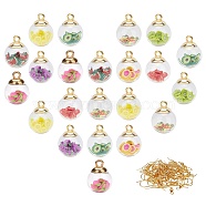 DIY 18Pairs Fruit Themed Earring Makings Kits, Including 9 Colors Transparent Glass Globe Pendants, with Resin Imitation Fruit Chips inside, Brass Earring Hooks, Mixed Color, 21x16mm, hole: 2mm(DIY-GA0001-72G)