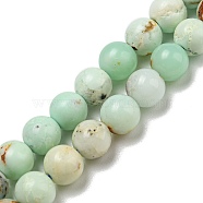 Natural Green Opal Beads Strands, Dyed, Round, 6mm, Hole: 0.8mm, about 62pcs/strand, 15.39~15.63''(39.1~39.7cm)(G-R494-A08-02)