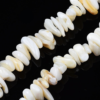 Natural Trochid Shell/Trochus Shell Beads Strands, Undyed, Chips, 7~22x5~8x1~6.5mm, Hole: 1mm, about 96~111pcs/strand, 14.37 inch~15.75 inch(36.5cm~40cm)