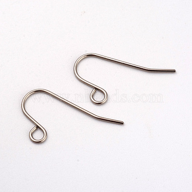 Stainless Steel Color 316L Surgical Stainless Steel Earring Hooks