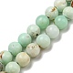 Natural Green Opal Beads Strands(G-R494-A08-02)-1