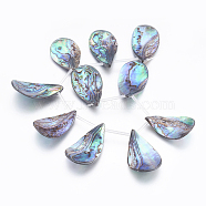 Natural Abalone Shell/Paua Shell Beads Strands, Top Drilled Beads, Teardrop, 35~39x19~23x3~6mm, Hole: 0.5mm, about 10pcs/strand, 8.46 inch(21.5cm)(SSHEL-P014-03)