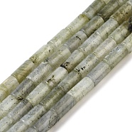 Natural Labradorite Beads Strands, Column, 8x4mm, Hole: 0.7mm, about 48pcs/strand, 15.35~15.43''(39~39.2cm)(G-B091-A09-01)