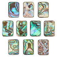 CHGCRAFT 10Pcs Natural Abalone Shell/Paua Shell Cabochons, with Freshwater Shell, Rectangle, 15x10x3mm(SSHEL-CA0001-06)