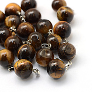 Round Natural Tiger Eye Pendants, with Platinum Tone Brass Findings, 17~19x13~14mm, Hole: 2x7mm(G-Q434-08)