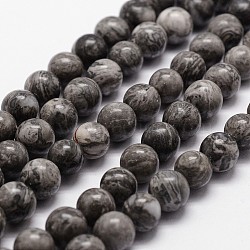 Natural Map Stone/Picasso Stone/Picasso Jasper Beads Strands, Round, 10~11mm, Hole: 1mm, about 37pcs/strand, 14.9 inch~15.1 inch(G-G735-27-10mm)