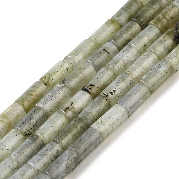 Natural Labradorite Beads Strands, Column, 8x4mm, Hole: 0.7mm, about 48pcs/strand, 15.35~15.43''(39~39.2cm)