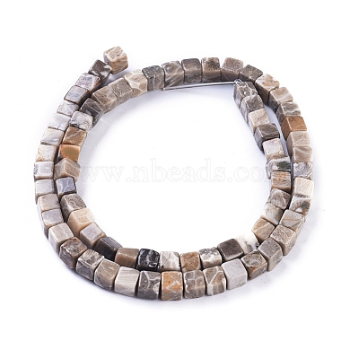 Natural Fossil Coral Beads Strands(G-D0020-13A)-2