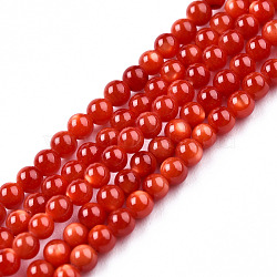 Natural Freshwater Shell Beads Strands, Dyed, Round, Red, 2.5x2mm, Hole: 0.7mm, about 181~182pcs/strand, 14.76 inch~14.96 inch(37.5~38cm)(SHEL-N026-205A-01)
