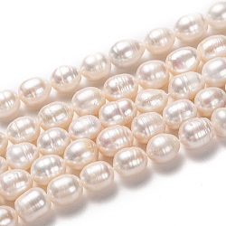 Natural Cultured Freshwater Pearl Beads Strands, Rice, Bisque, 10~14x9~10mm, Hole: 0.8mm, about 30pcs/strand, 13.78 inch(35cm)(PEAR-L033-86-01)
